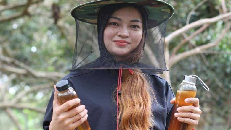 Sotheara entretient 200 ruches avec 20 000 à 30 000 abeilles, produisant jusqu’à trois tonnes de miel par saison. Photo fournie