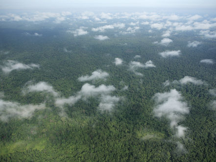 Cambodge & Environnement : Le Royaume souhaite parvenir à la neutralité carbone d’ici 2050