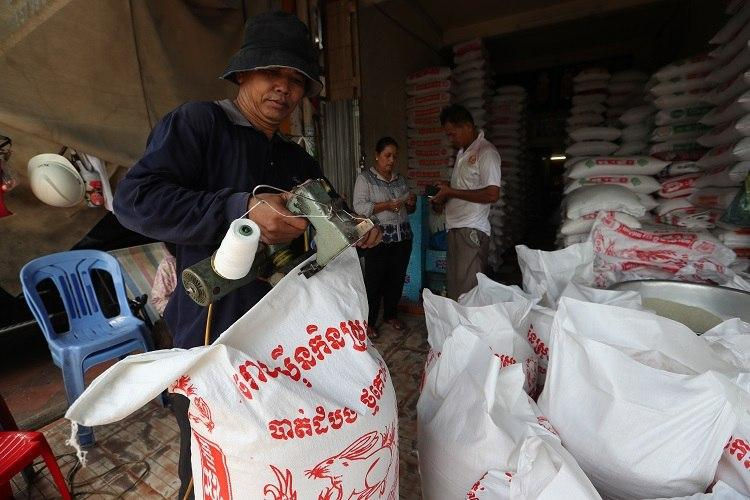 Le riz décortiqué du Cambodge a été exporté vers 59 pays dans le monde