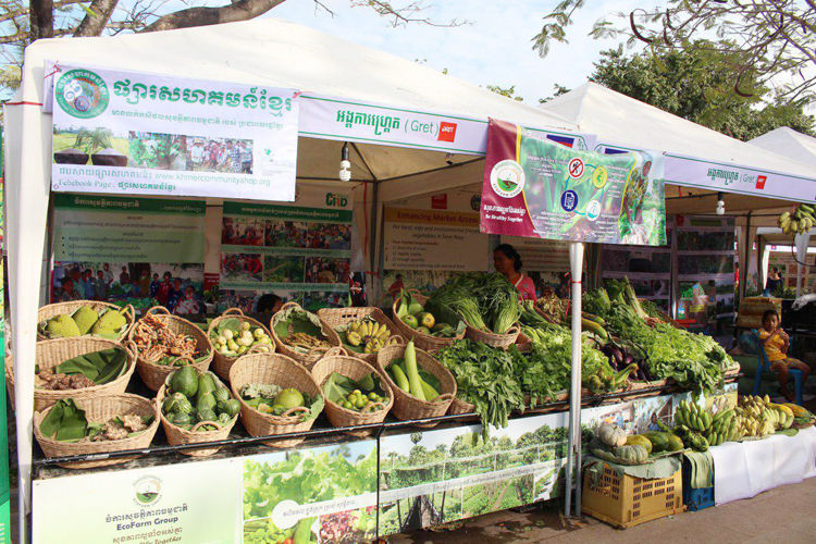 Production maraîchère à Siem Reap