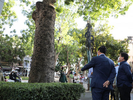 Phnom Penh : Les arbres centenaires du parc Canadia ne seront pas abattus