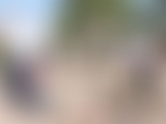 Nature & Initiative : Plus de 10 000 arbres plantés sur le site d'Angkor
