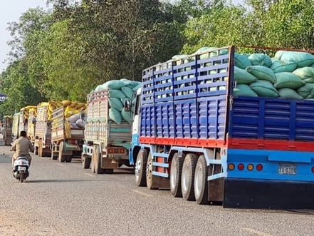 Cambodge : Les exportations agricoles en hausse de 3,41 % au premier trimestre