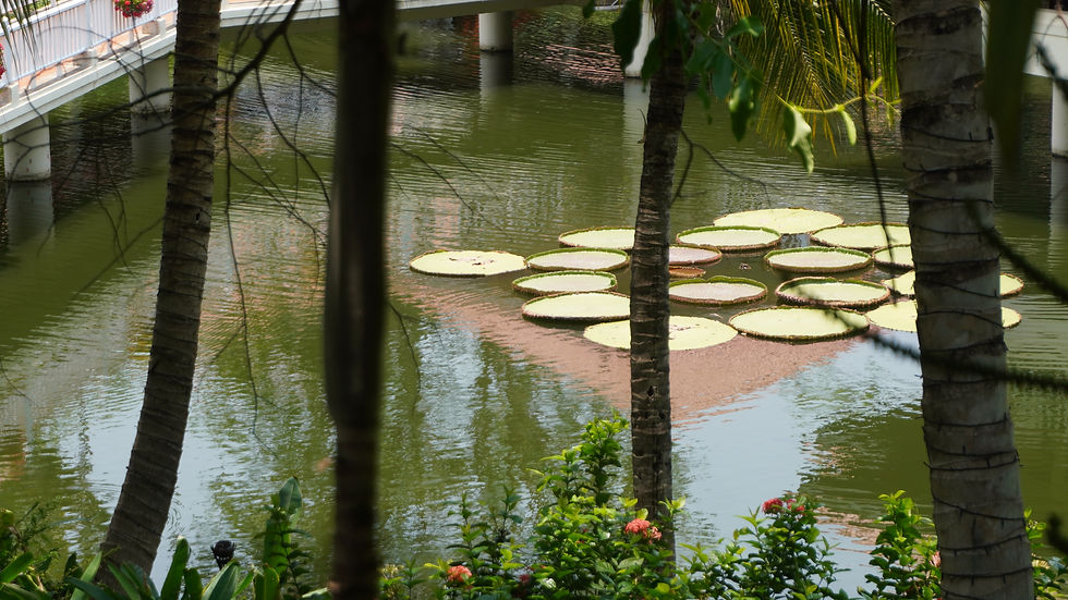 Travailler Ici : Le Cadre qui Nourrit