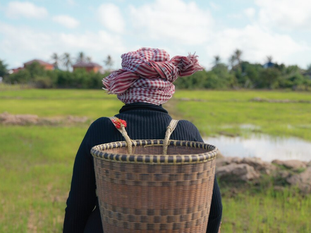 12e Festival International du Film au Cambodge : The Haul et Distilling a lasting legacy