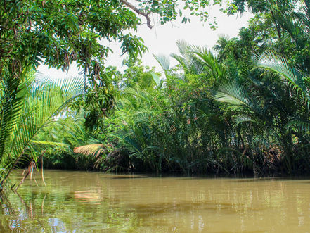 Destination & Loisirs : Kampot, véritable paradis photogénique