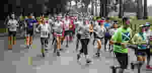 Plus de 2.000 coureurs inscrits au Marathon de l'Empire khmer