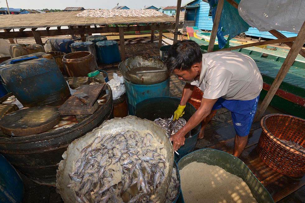 Selon un rapport préliminaire de l’administration, les exportations de produits de la pêche (eau douce et marine) ont totalisé 1 291 tonnes entre janvier et mai 2022