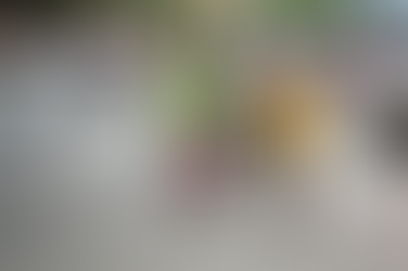 45 ONG interpellent le gouvernement pour la ratification de conventions en faveur des femmes