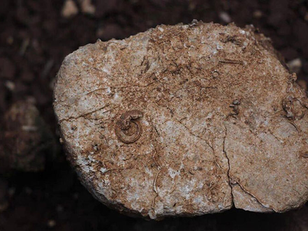 Archéologie & Cambodge : Recherche de fossiles dans une chaîne de montagnes de Battambang