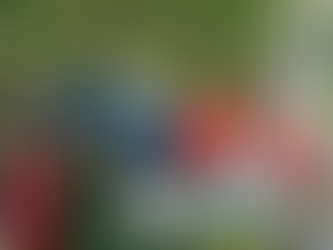 Du 14 au 16 novembre 2025, Siem Reap se parera des couleurs de la francophonie et invite passionnés, familles et curieux à une immersion festive au cœur du Village de la Francophonie. Sur les berges de la rivière, à l’angle de la rue 5 et de l’avenue Pokambor, ce rendez-vous incontournable proposera une variété de cultures, d'animations et de saveurs dans une atmosphère conviviale et ouverte à tous.​