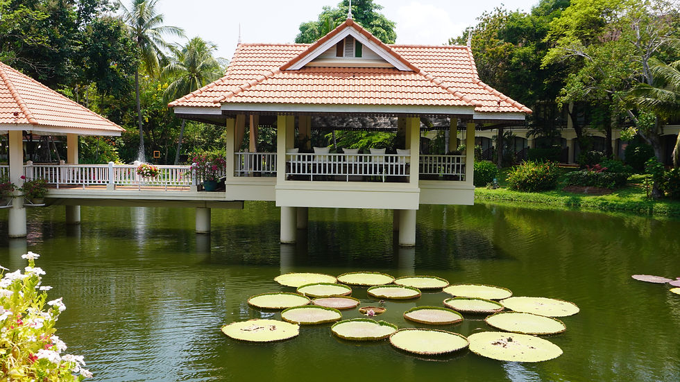 Sofitel Angkor Phokeethra, l'étang