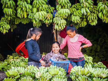 These days, tropical fruit is available in almost every supermarket, but there's nothing like enjoying fresh fruit, not only for pleasure, but also for your health.