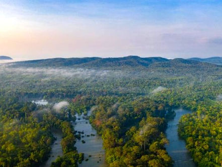 Cambodge & Environnement : Keo Seima, la zone protégée la plus riche en biodiversité du Royaume