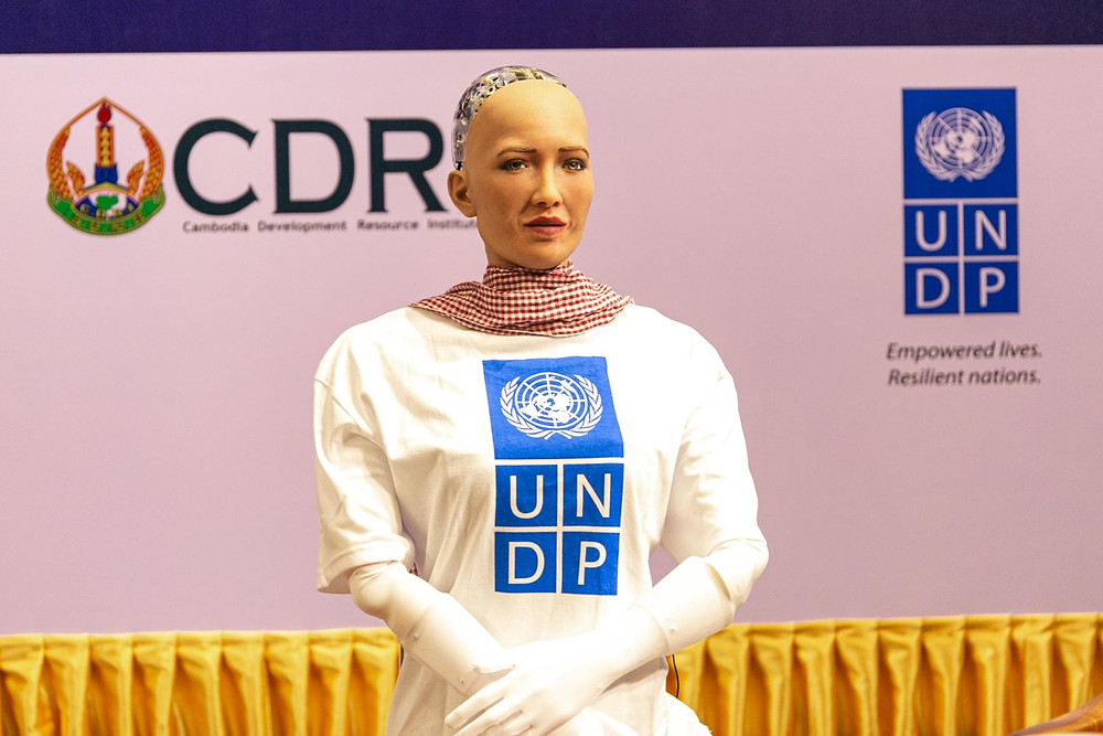 Programme des Nations Unies pour le développement