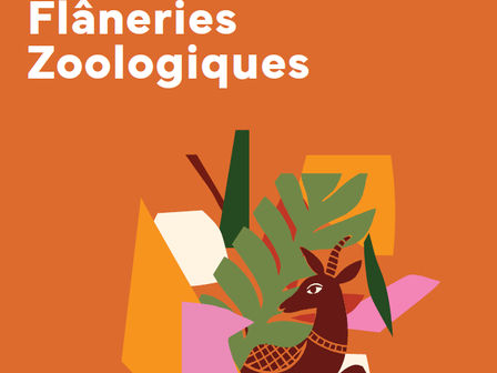 In the heart of Phnom Penh, on Monivong Boulevard, lie the gardens of the French Embassy. This 4.8-hectare green space, gifted to France by His Majesty King Sihanouk in 1955 on the occasion of Cambodia's independence, is now much more than just a diplomatic landscaped area. It has become a veritable ‘green lung’, a refuge for remarkable animal diversity in the heart of the Cambodian capital.