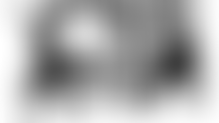 Chapter 15: Machinery and Large-Scale Industry