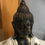 Thumbnail: Buddha statue head