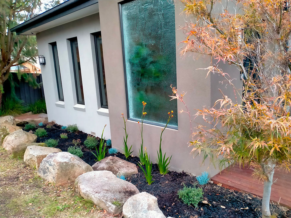 Ivanhoe planting project
