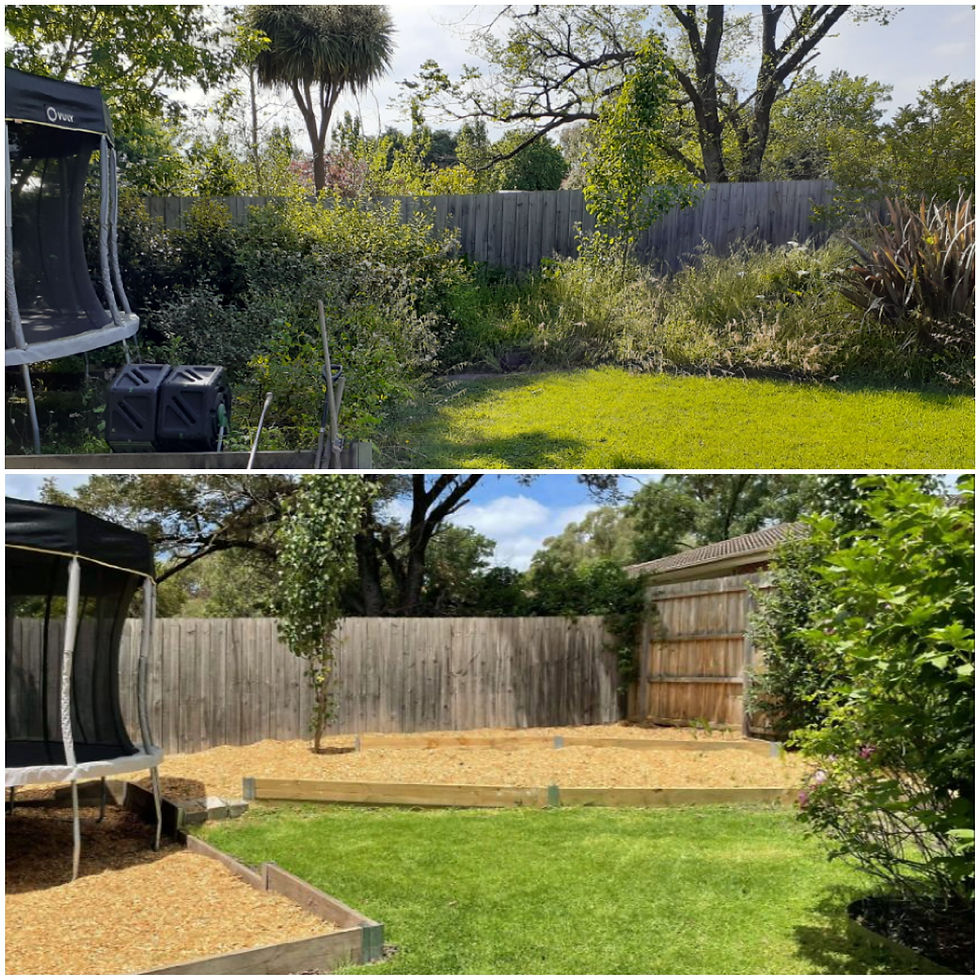 Before & After (2) - Croydon
