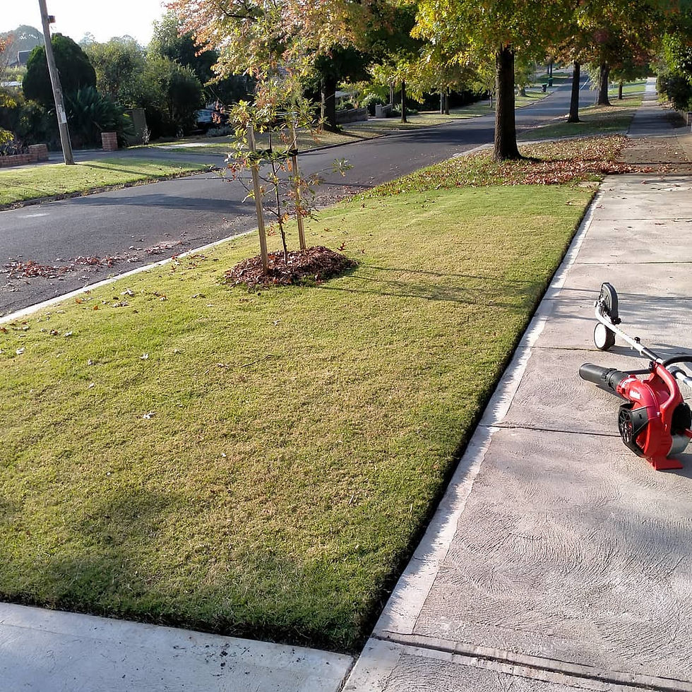 Lawn edging
