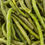 Hình thu nhỏ: Dried Green Bean
