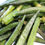 Hình thu nhỏ: Dried Okra Chips