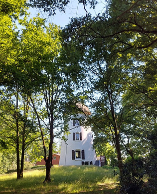 De Zwarte Molen tuin