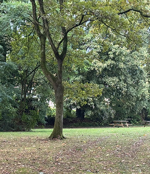 Tuin Zwarte Molen