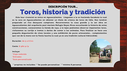 toros, historia y tradición wix.jpeg