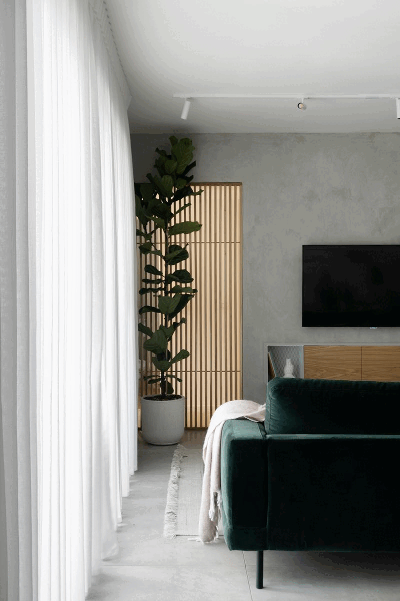 scandinavian Living room design