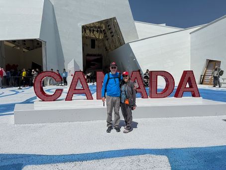 Baseball in Japan: Catching a Game in Osaka & Exploring the City