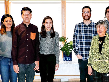 What this website is about