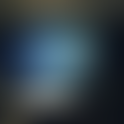 Leadership Isolation in SMEs - A Practical View for Owner Managers