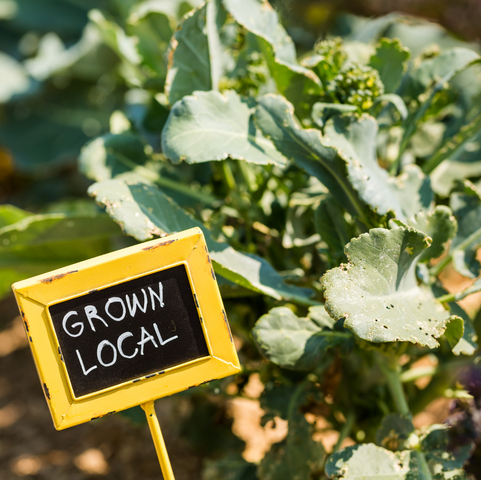 What a week spent supporting our local Business Community 