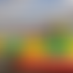 Supporting Local Lifesavers: A Visit from SARS