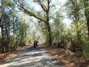 Jim and Anne came out today, Oh yea Frank too
