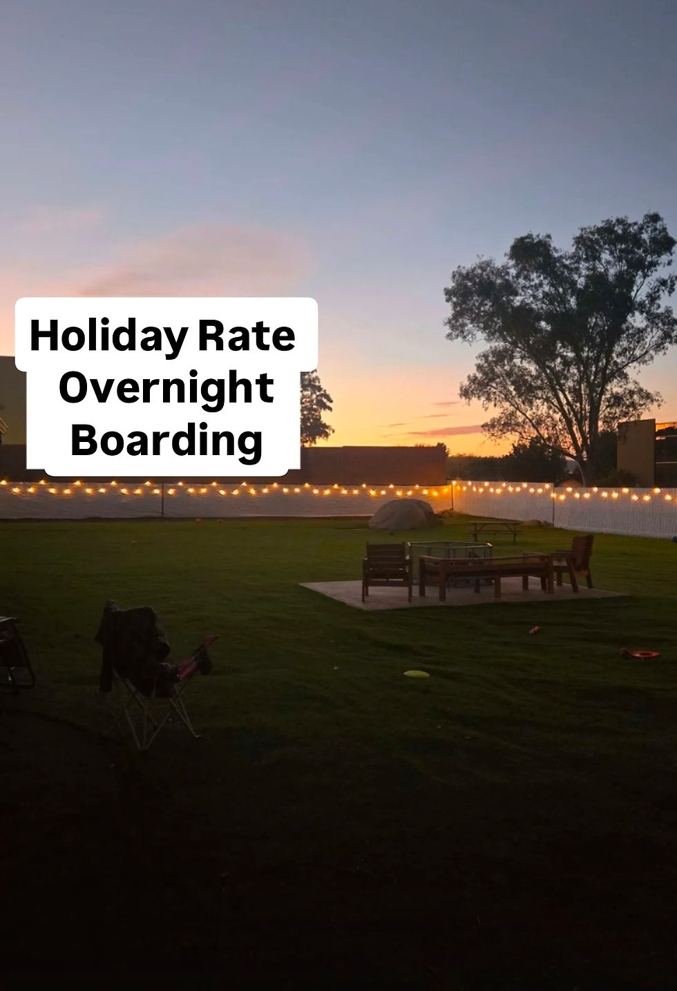 HOLIDAY RATE Overnight Boarding