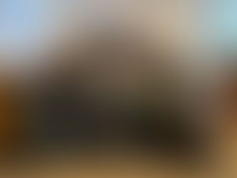 DUB leads expert delegation to Berlin and Copenhagen on Ukraine's fundamental reforms