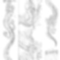 Untitled design-55_edited.jpg