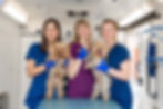 Three veterinary staff in scrubs and blue gloves smile inside a bright clinic van, holding two small terrier-type dogs.