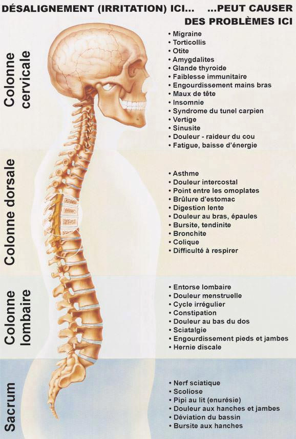 ostéopathie Lomme, Villeneuve d'Ascq, Wambrechies