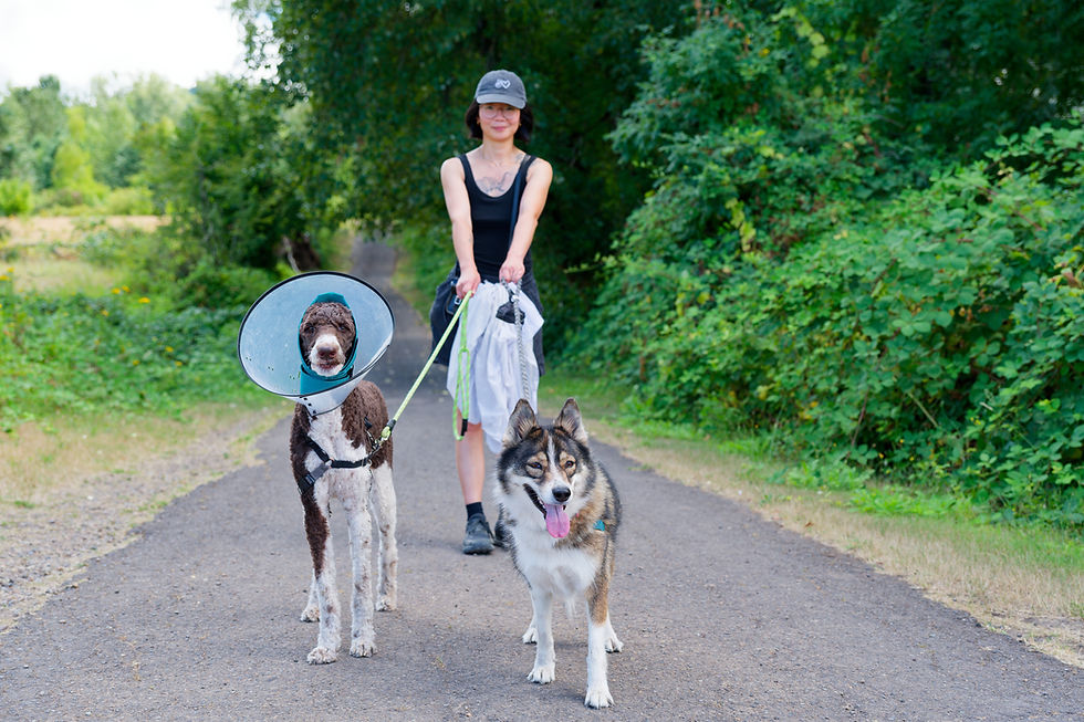 A Chinese woman holding on to two dogs on leashes.