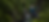 homepage-hero-zipline-v2.png