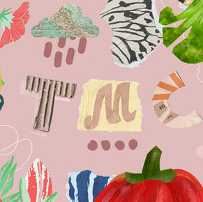 Moxie Collective Unveiled