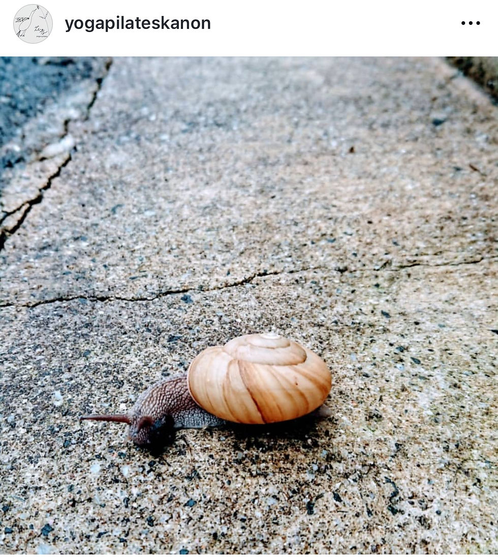 ree