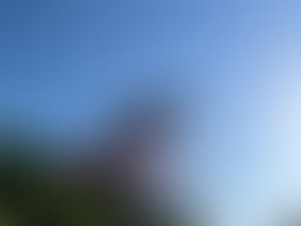 5月のご予約受付中です