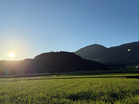 8月後半スタート