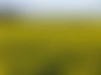 4月も宜しくお願い致します