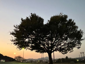 秋の日は・・・